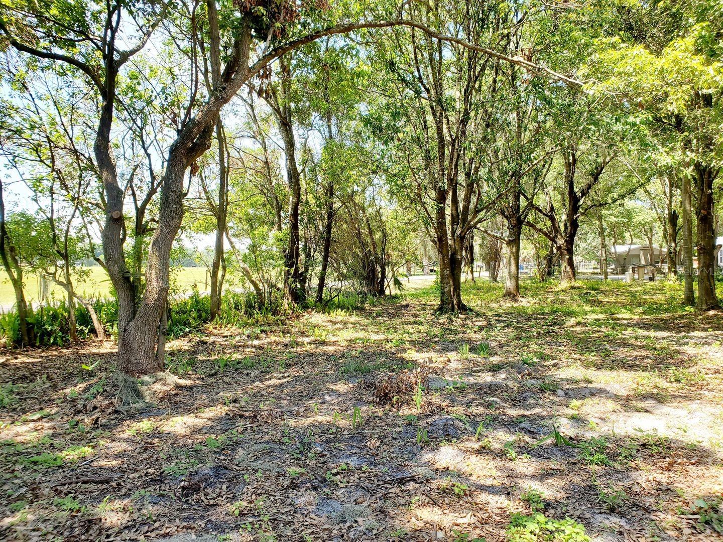 UNPLATTED - Residential Lease