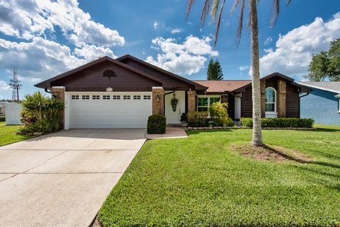 2911 LAHLOR LANE PALM HARBOR FL 34684