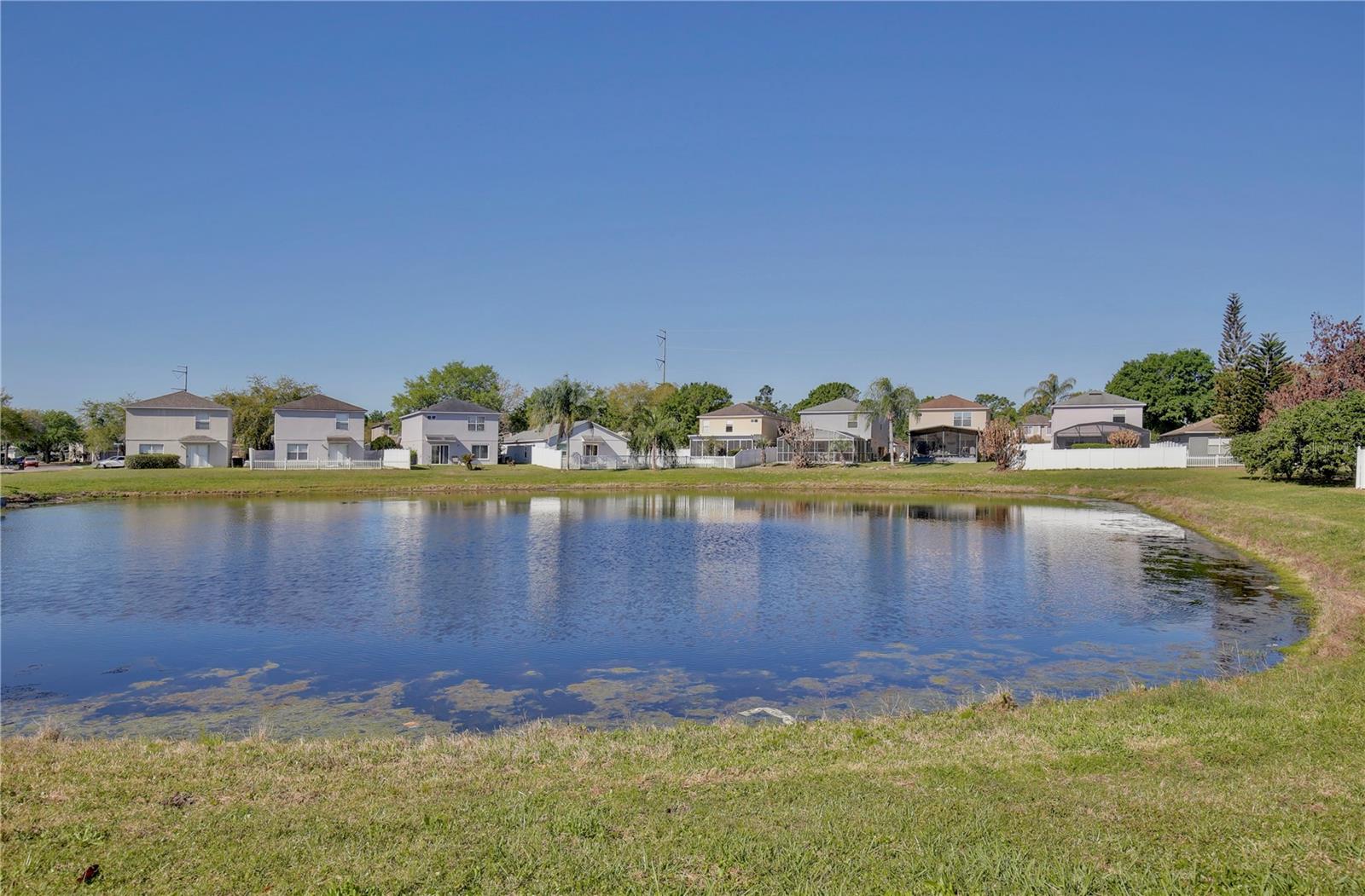STONE FOREST - Residential