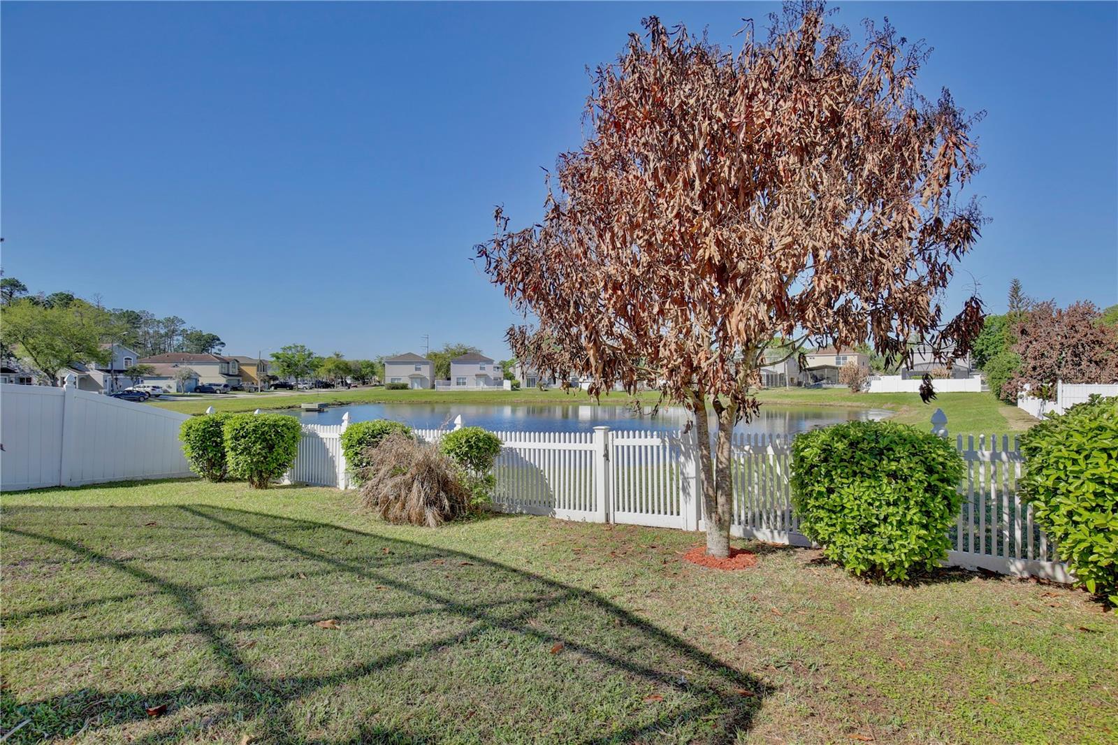 STONE FOREST - Residential