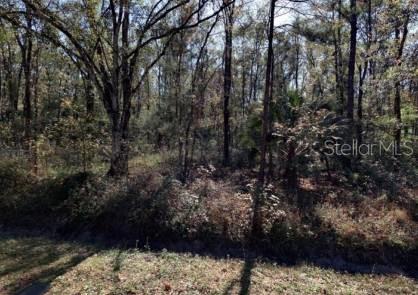 Spacious Rural Lot in Flagler Estates – Build Your Dream!
Escape to the peace and privacy of Flagler Estates with this 1.41-acre lot in Hastings, FL. Nestled in a growing rural community, this parcel offers 165 feet of frontage and 373 feet of depth, perfect for building a custom home, workshop, or setting up a manufactured home with room to grow. No HOA and zoned open rural, so bring your toys, animals, and imagination!
Located on a quiet, unpaved road, this tract provides true country living while still being just a short drive to Palatka, St. Augustine, and Palm Coast. Well and septic will be required, and power is available nearby.
Whether you're looking to build now or hold for the future, this parcel is priced to sell and full of potential.