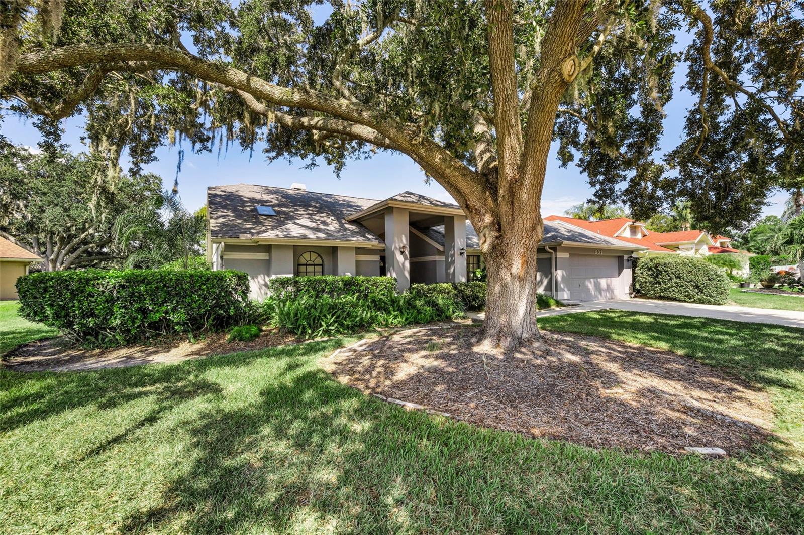 802 CENTERWOOD DRIVE