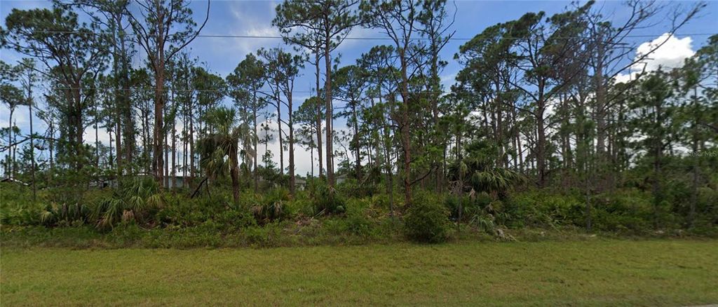 Photo of 2521 Jacobs Street, Port Charlotte, FL 33953 (MLS # D6146435)