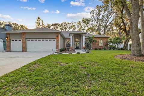 A home in VALRICO