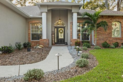 A home in VALRICO