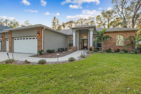 A home in VALRICO