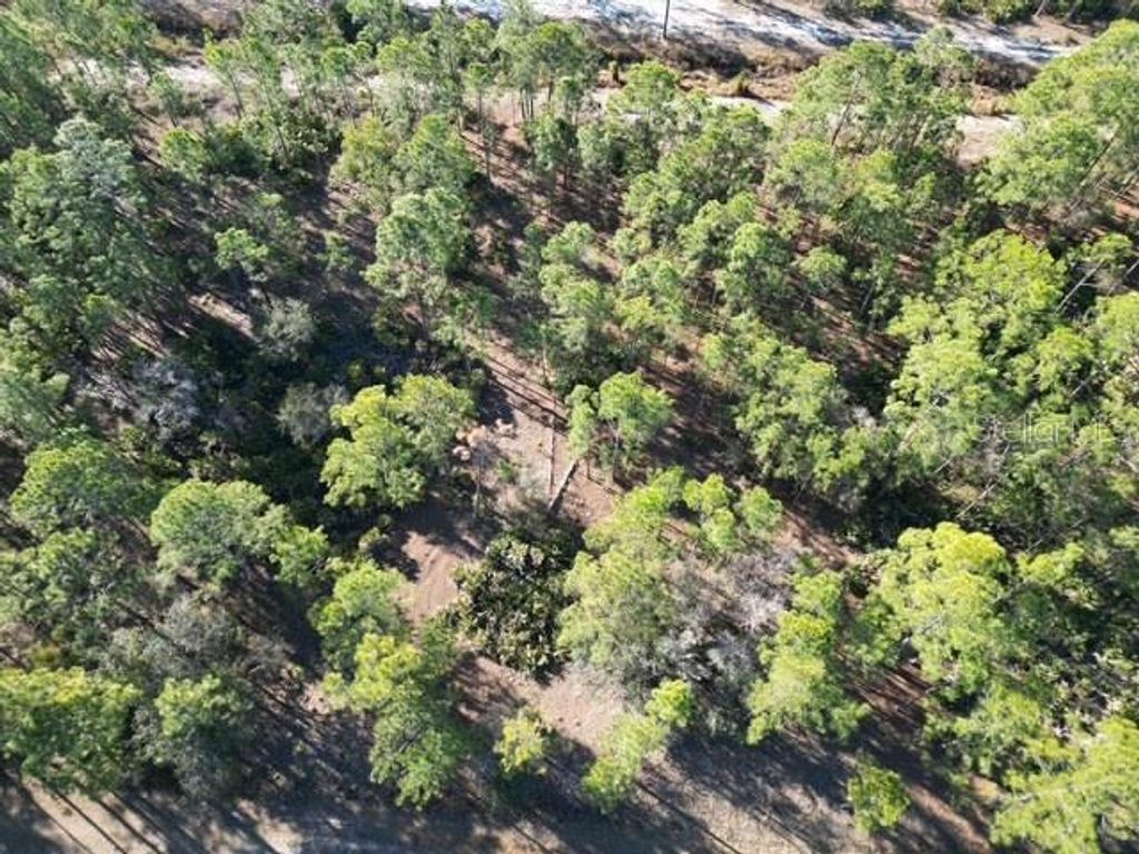 Photo of 707 Laguna Drive, Indian Lake Estates, FL 33855 (MLS # L4959811)