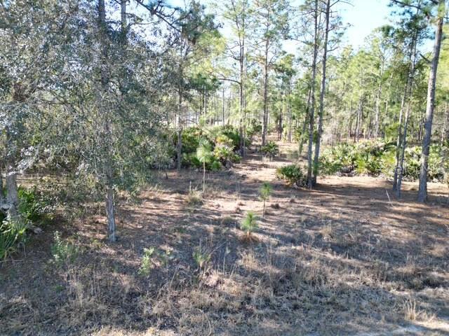 INDIAN LAKE ESTATES - Land