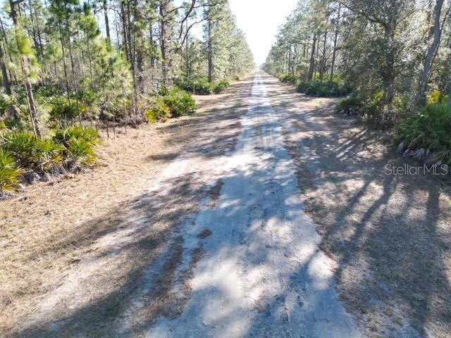 INDIAN LAKE ESTATES - Land