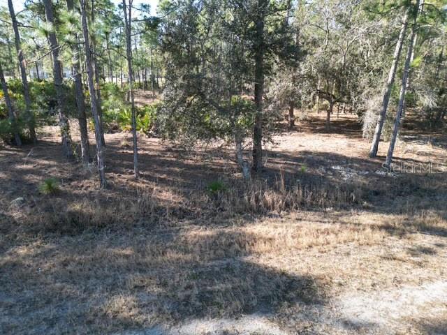 INDIAN LAKE ESTATES - Land