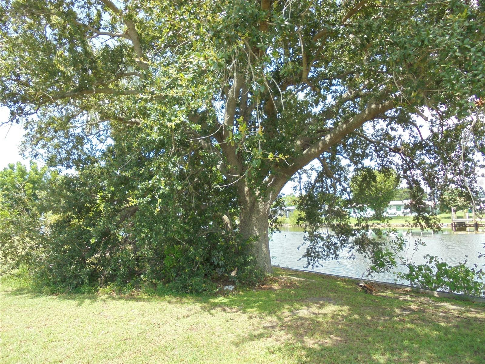 396 WEBER TERRACE