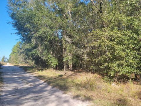 SW 61ST PLACE NEWBERRY FL 32669