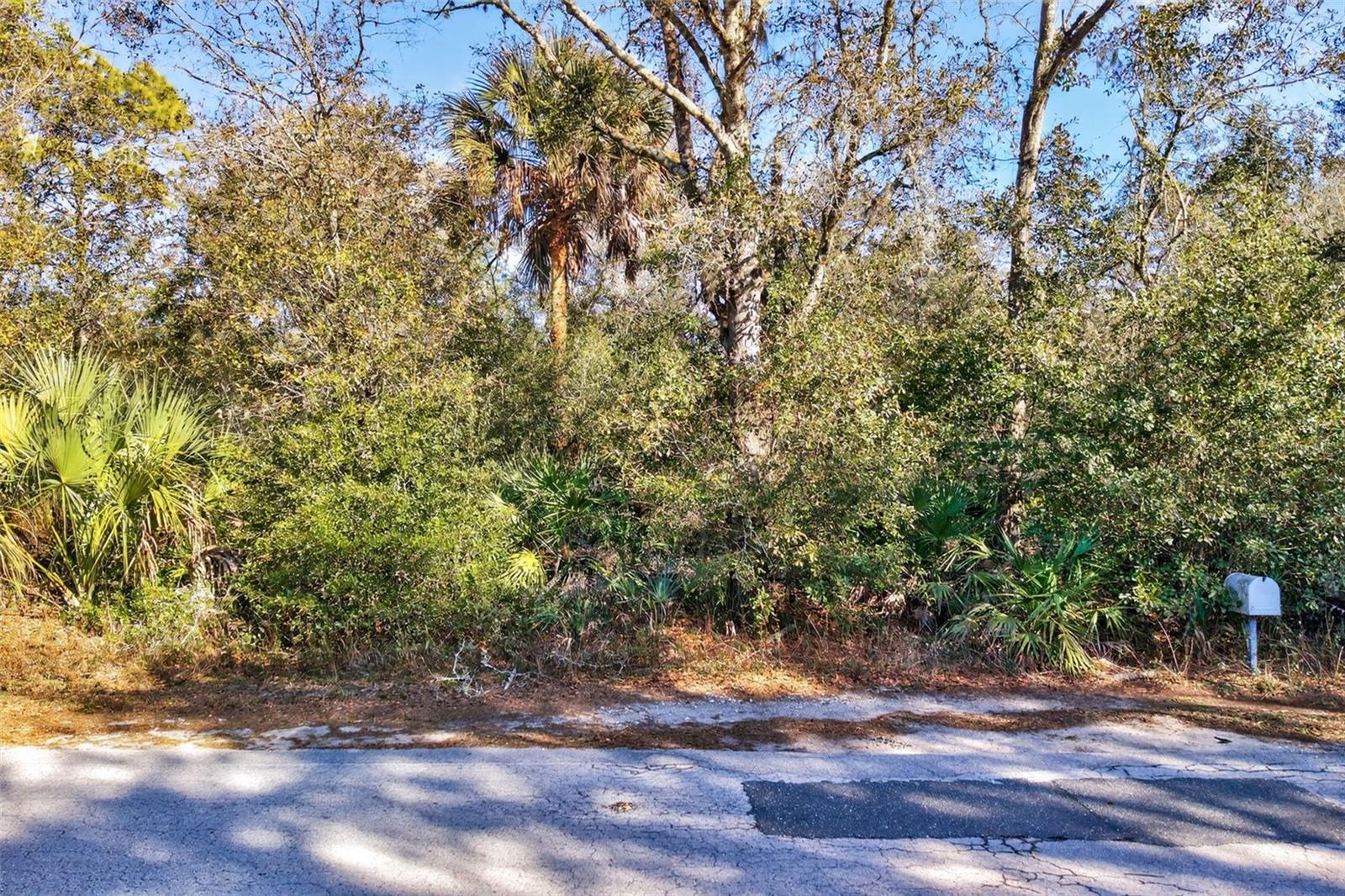 CRYSTAL MANOR UNIT 03 - Land