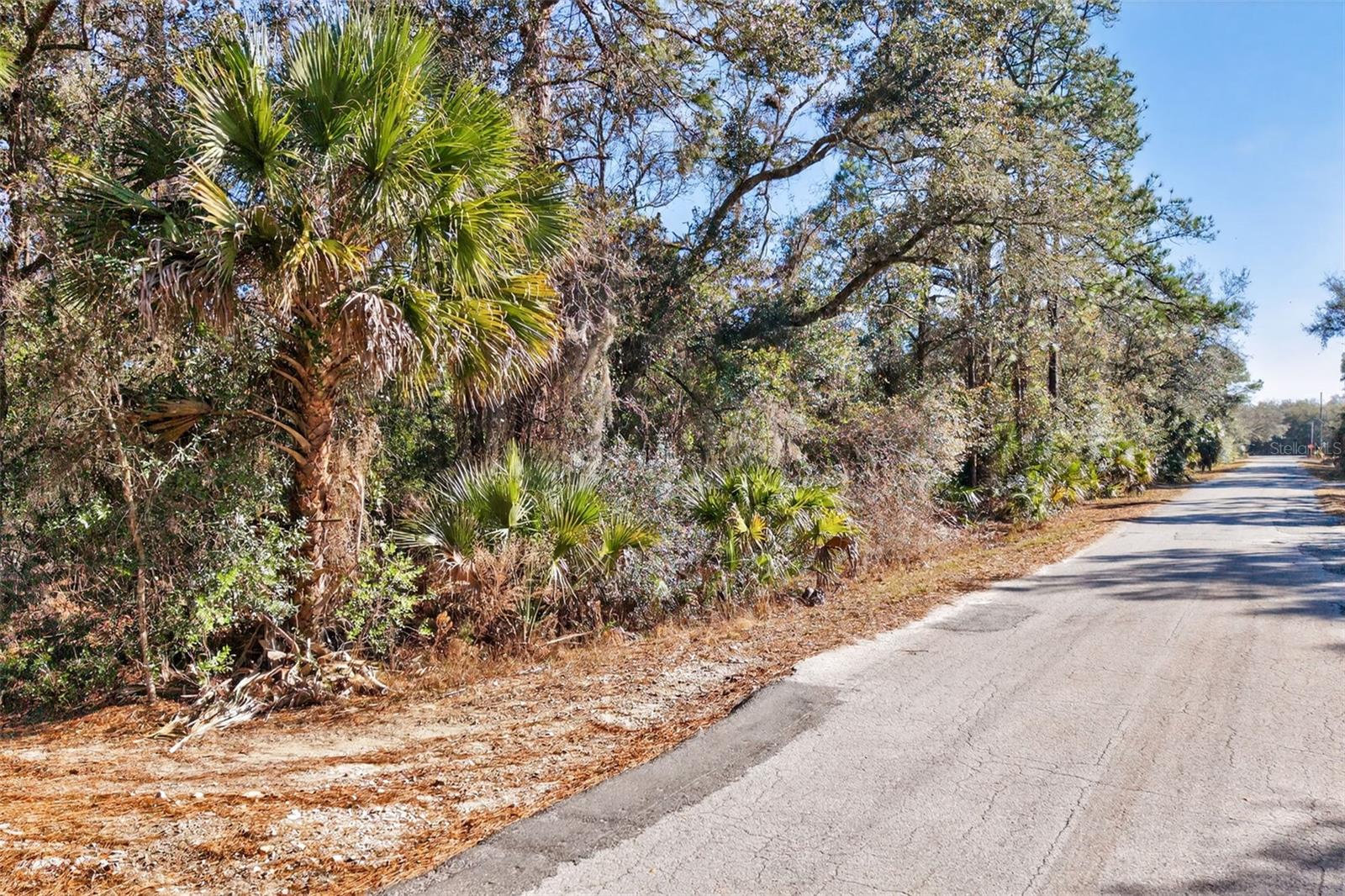 CRYSTAL MANOR UNIT 03 - Land