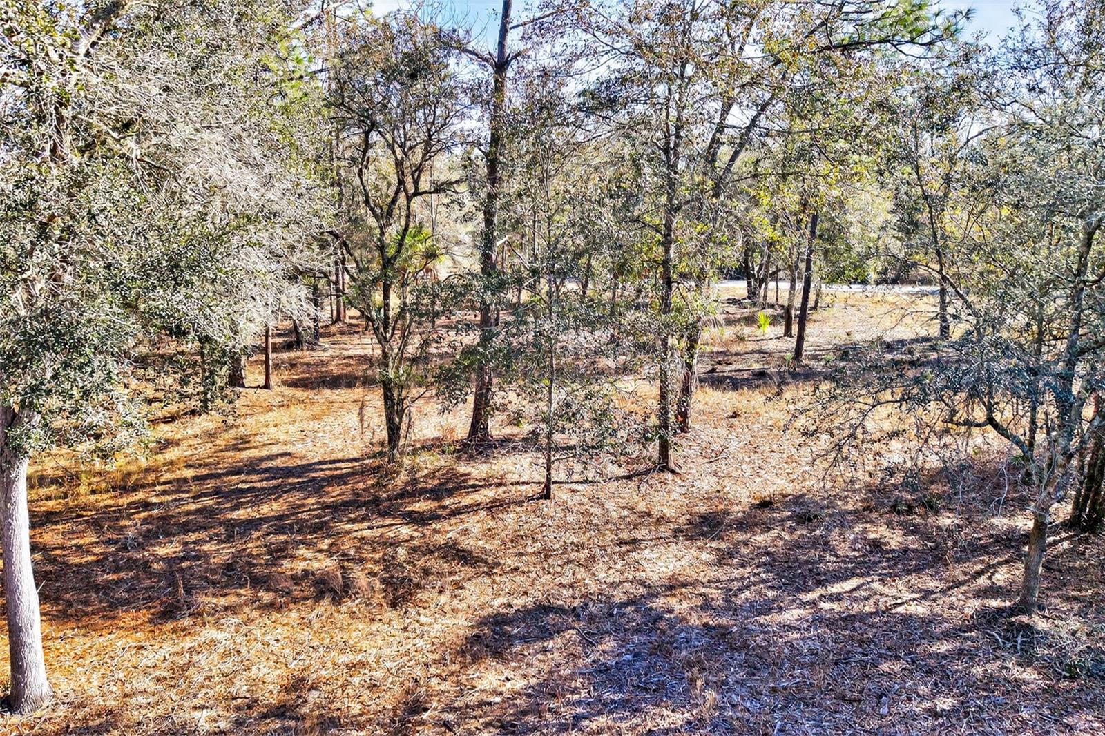 CRYSTAL MANOR UNIT 03 - Land