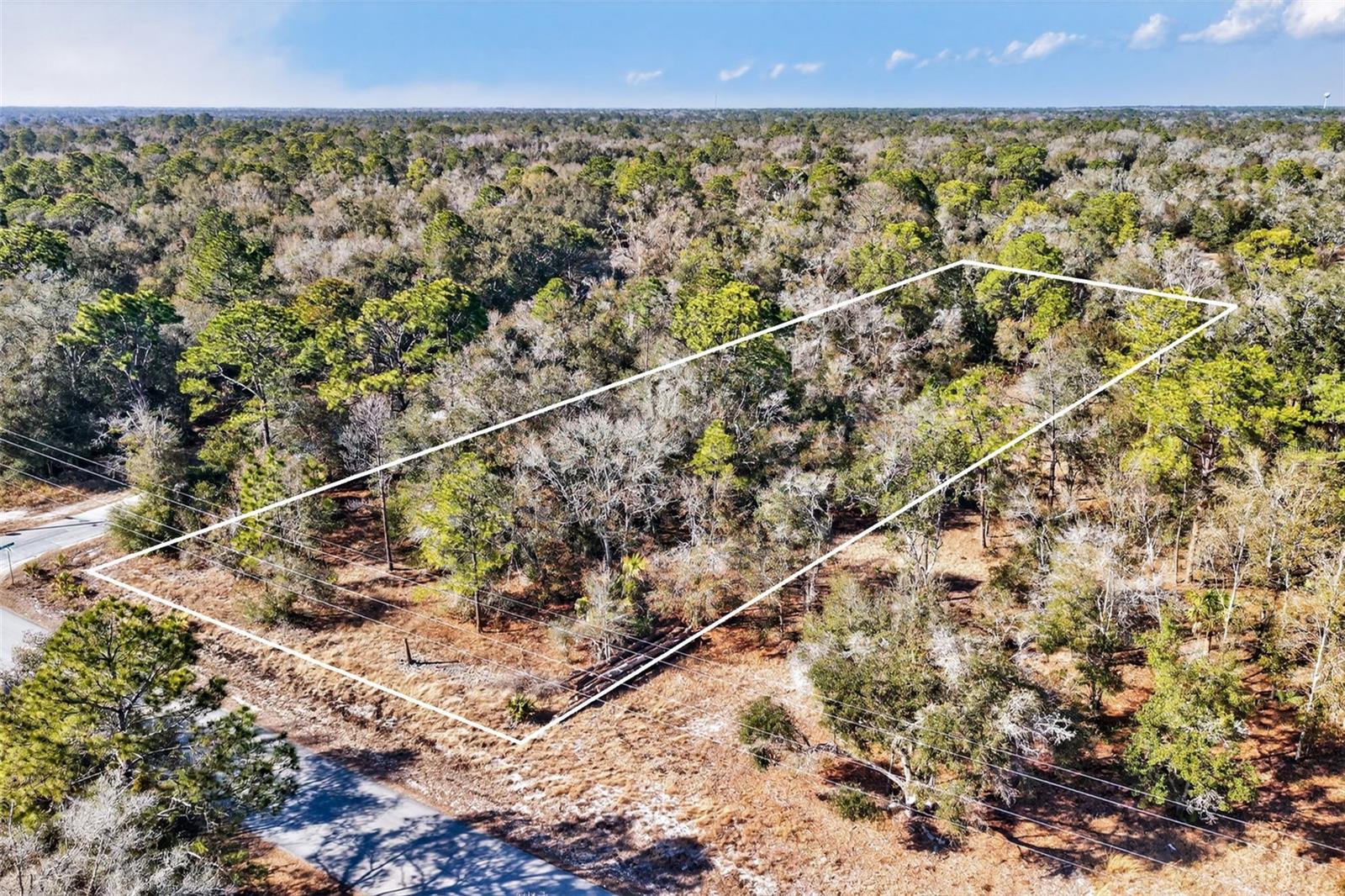 10051 N MARIGOLD TERRACE