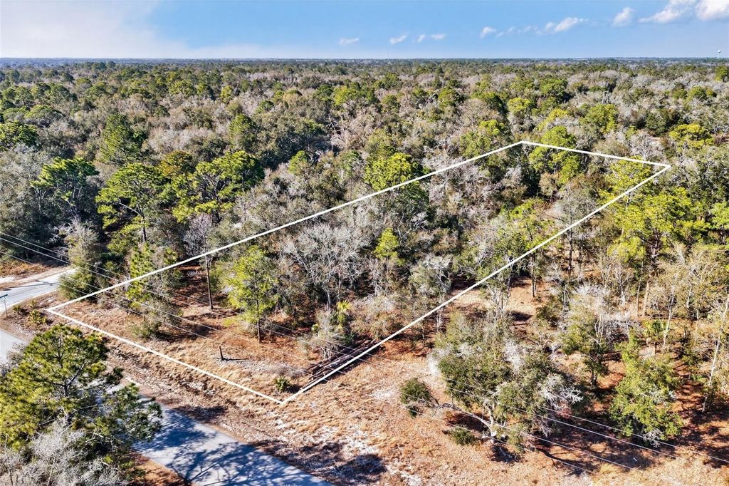 Photo of 10051 N Marigold Terrace, Crystal River, FL 34428 (MLS # OM718270)