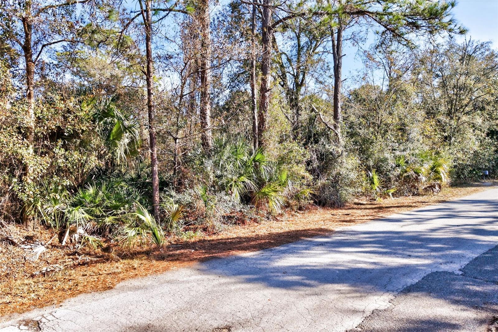 CRYSTAL MANOR UNIT 03 - Land