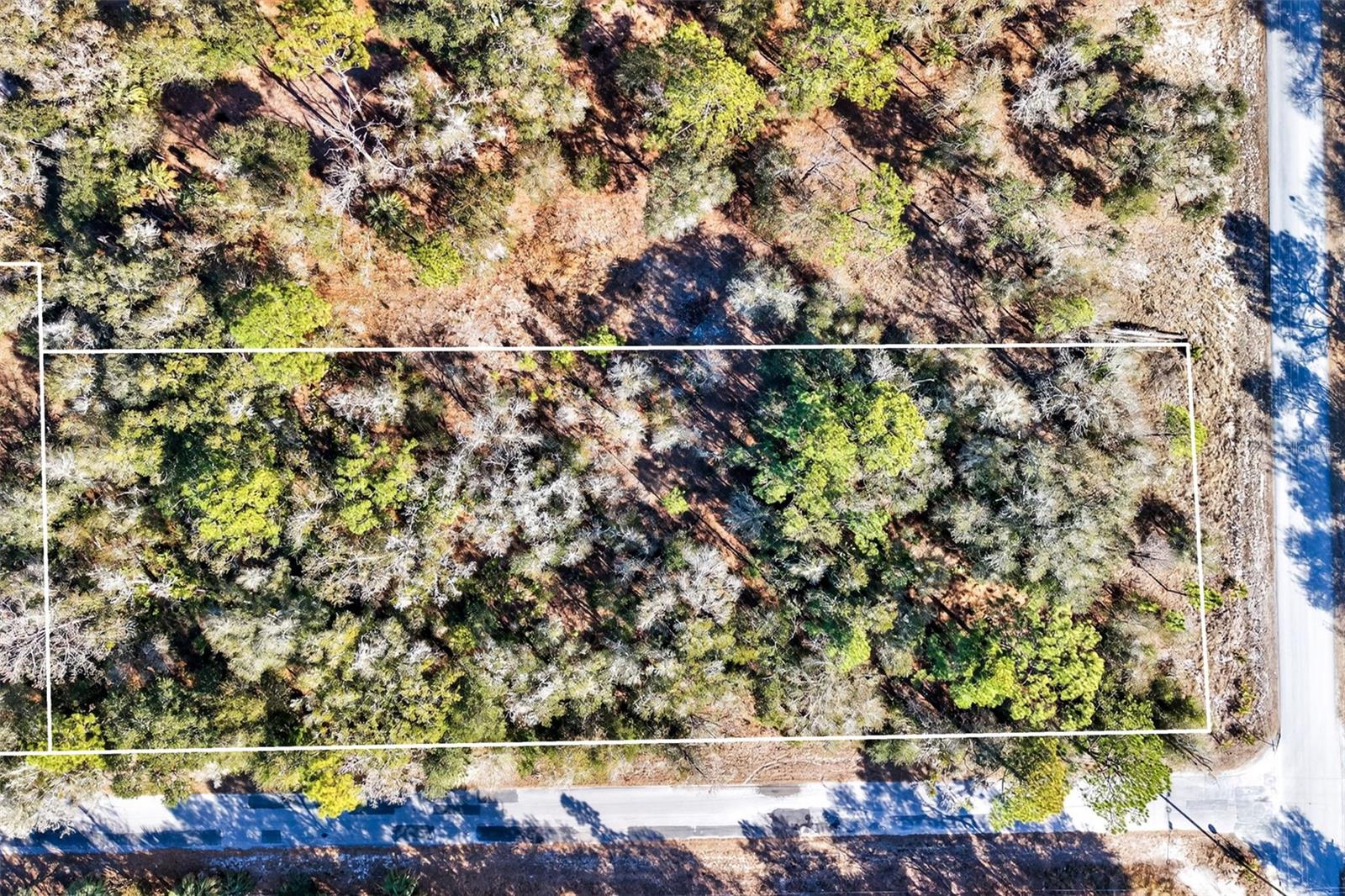 10051 N MARIGOLD TERRACE