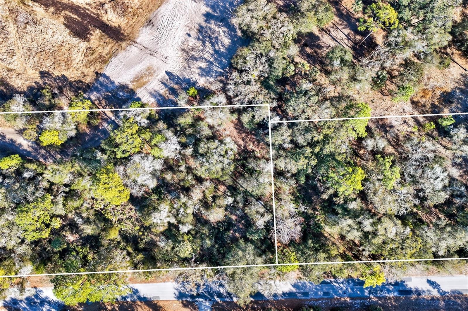 10051 N MARIGOLD TERRACE