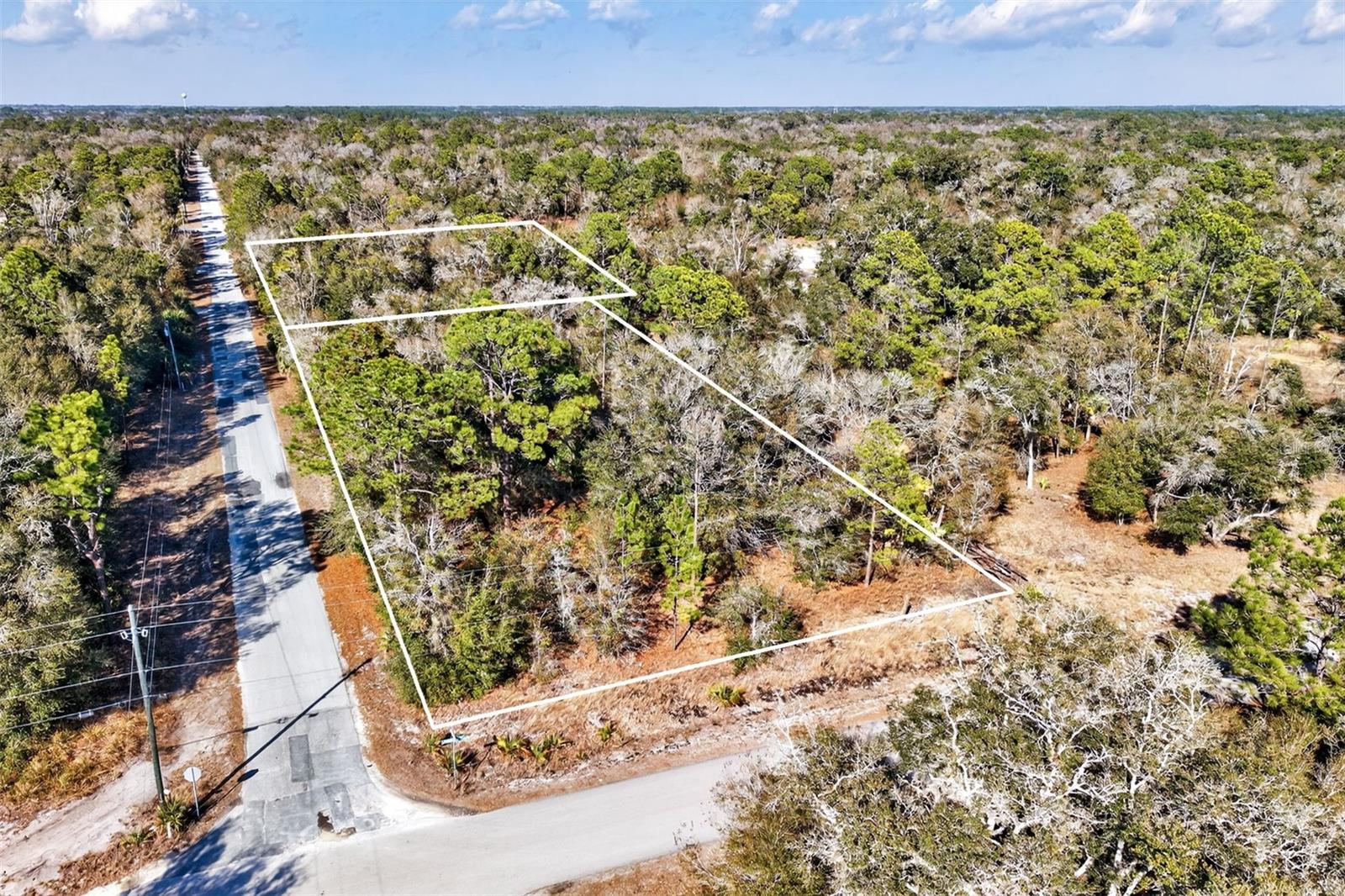 10051 N MARIGOLD TERRACE