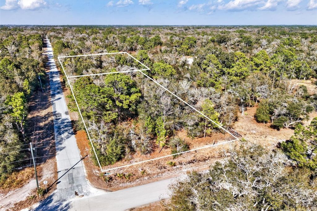 Photo of 10051 N Marigold Terrace, Crystal River, FL 34428 (MLS # OM718270)