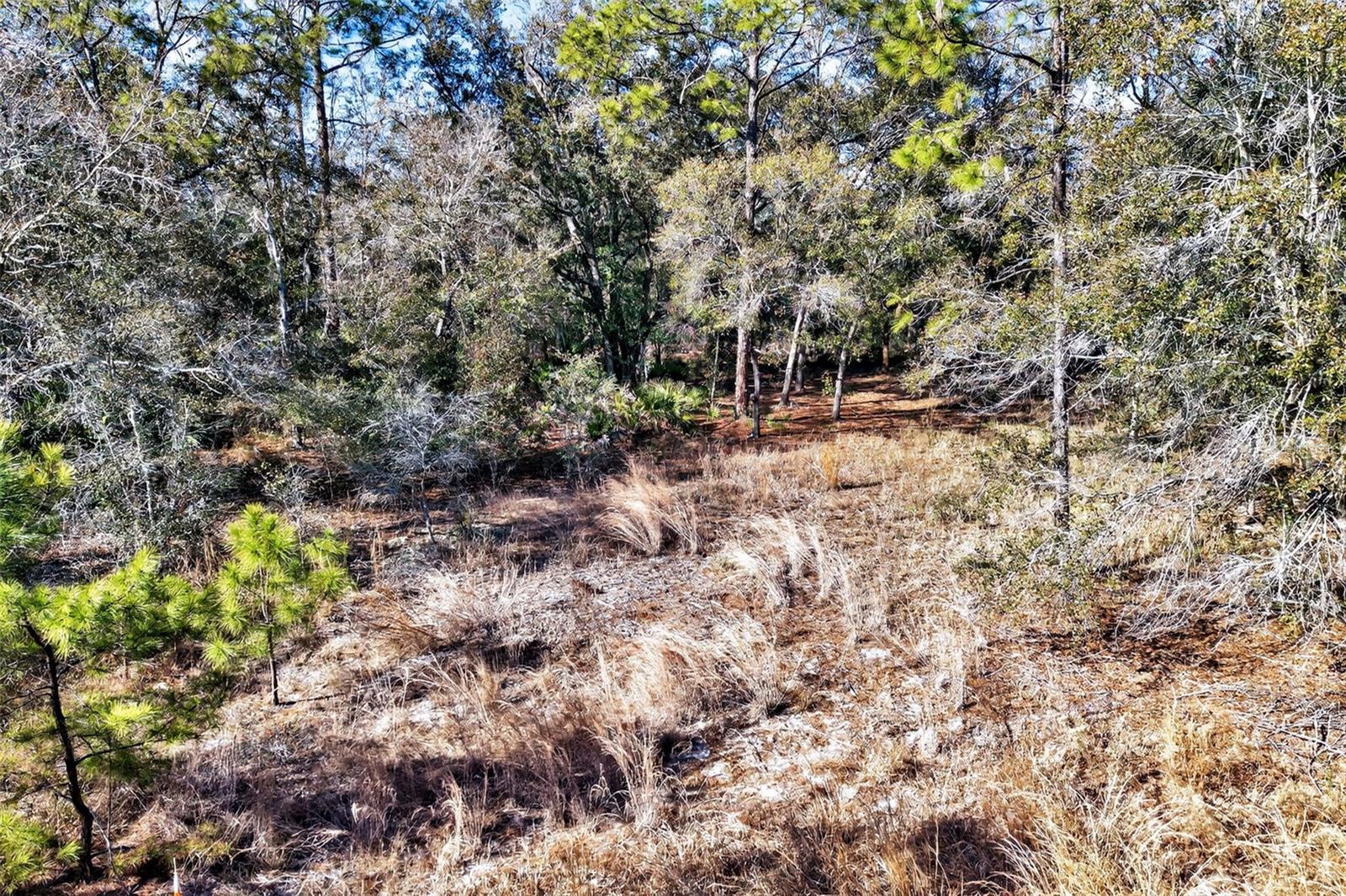 CRYSTAL MANOR UNIT 03 - Land