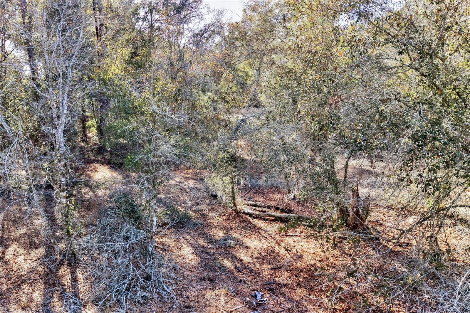 CRYSTAL MANOR UNIT 03 - Land