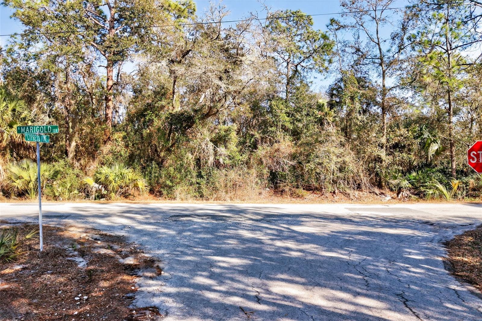 CRYSTAL MANOR UNIT 03 - Land