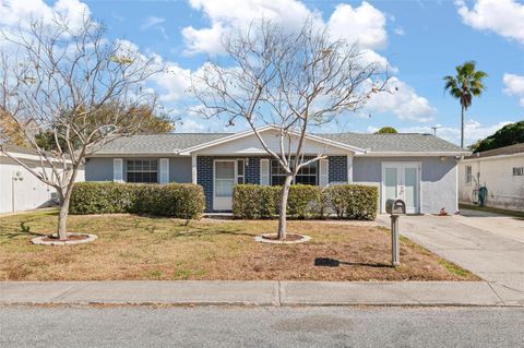 10010 BRUNSWICK LANE PORT RICHEY FL 34668