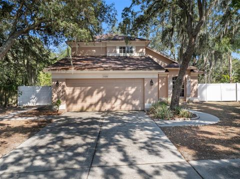 A home in VALRICO