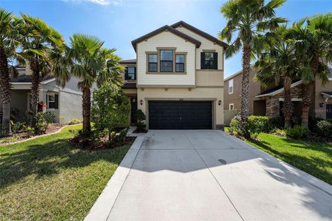 1626 TALLULAH TERRACE WESLEY CHAPEL FL 33543