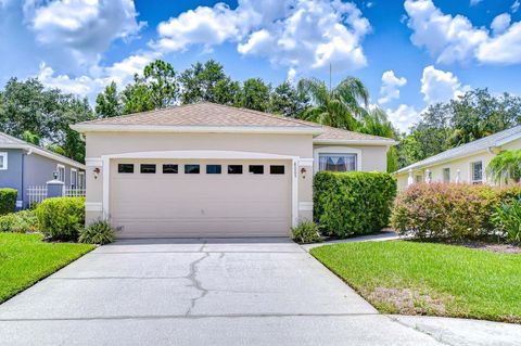 Photo of 8005 Shaddock Place, Land O Lakes, FL 34637 (MLS # TB8411408)