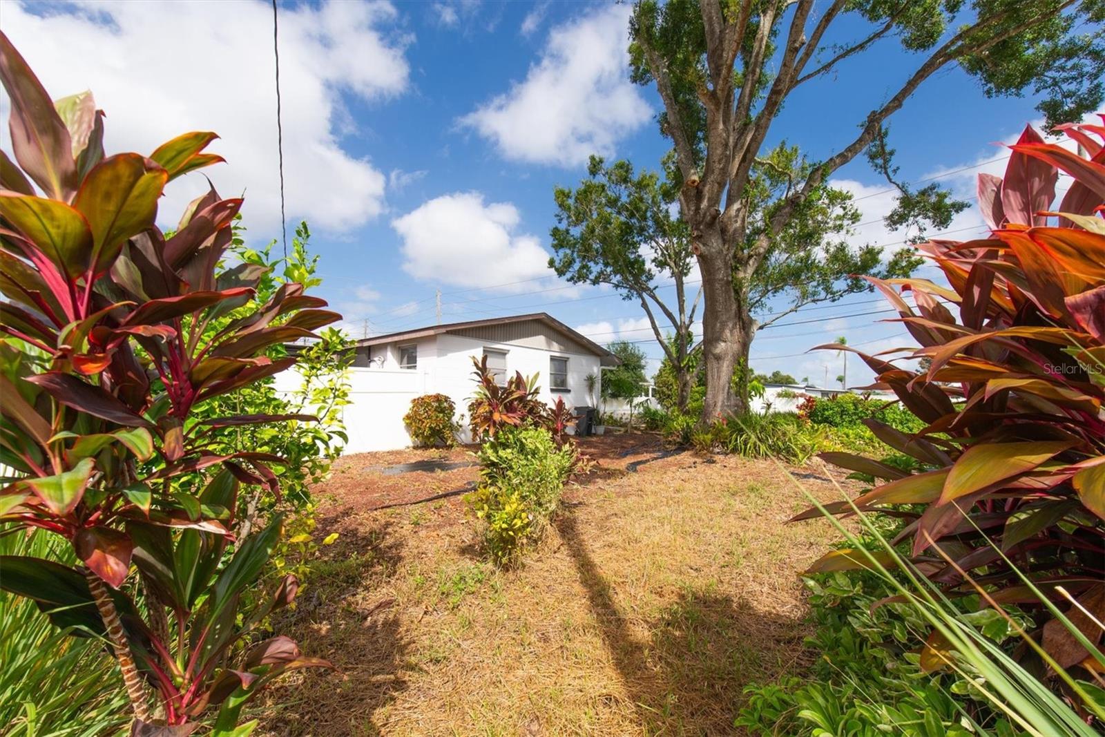 BAYNARD LEE JR 4 - Residential Income