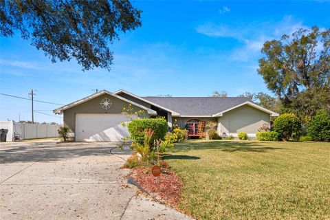 6143 BLACK WALNUT DRIVE BARTOW FL 33830