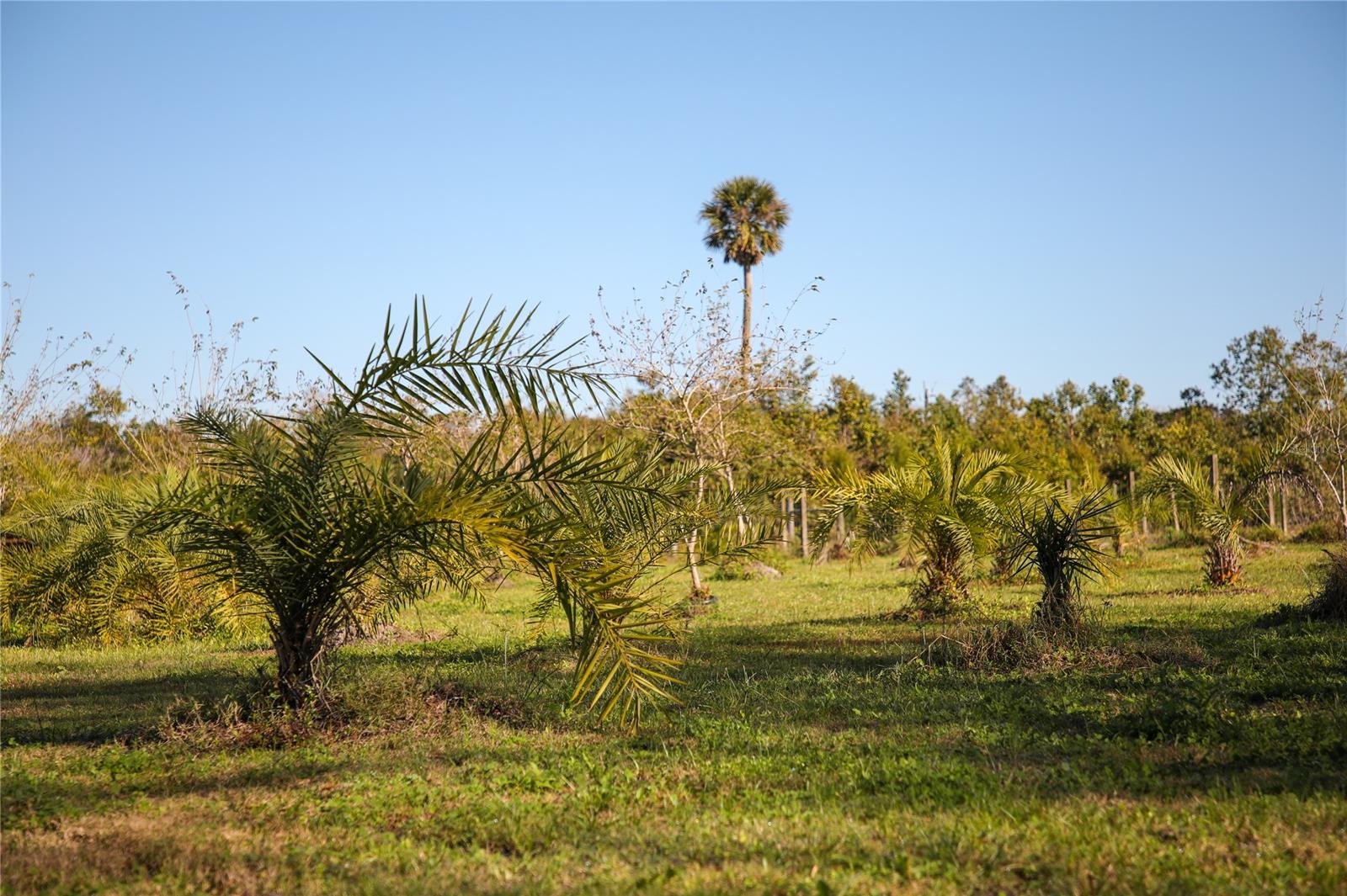 Assessors Pablo Rosette Gran - Residential