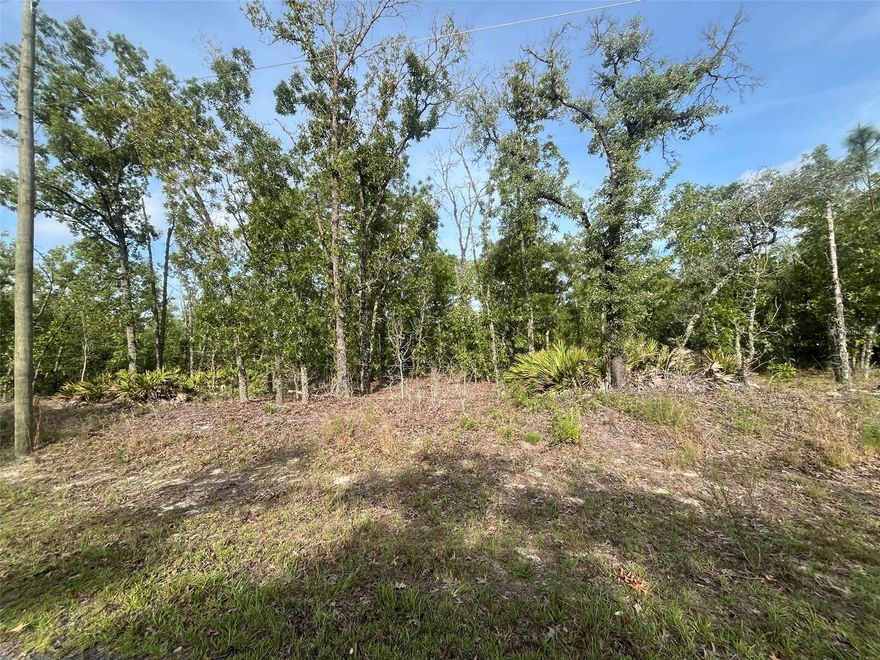 Build your dream home on this beautiful 0.23 acre high and dry lot in in desirable Citrus Springs with No HOA. New homes already in the area waiting for your home to be built. Electricity nearby making it easy to access power. Quiet neighborhood but minutes from shopping, doctors' office, restaurants and just a short drive to the Suncoast Parkway to be in the big cities like Tampa or St. Pete! The property is minutes from Rainbow Springs State Park where you can swim, snorkel, kayak, hike on nature trails, and bike ride. The neighborhood features the famous Withlacoochee State Trail for biking, hiking and nature walks. This property won't last long! Call today to make it your own.