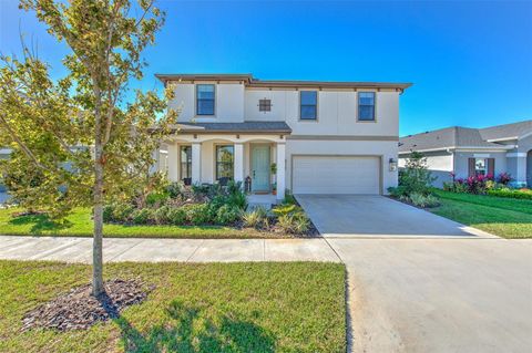 A home in APOLLO BEACH