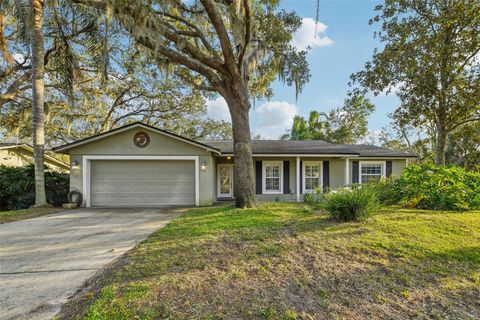 101 LUDLOW DRIVE LONGWOOD FL 32779