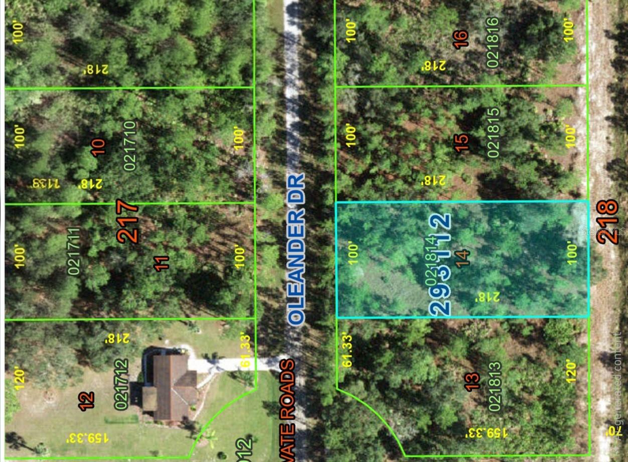 OLEANDER DRIVE - Photo 4