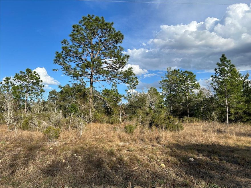 BUILD YOUR COUNTRY DREAM ON 2 BEAUTIFUL ACRES! Escape the hustle and enjoy peaceful rural living on this 2-acre homesite tucked along a quiet country road where the stars shine bright at night. This property previously had a mobile home in place and includes an existing well and septic (no warranty), offering a potential head start for your future homesite.
With light, sparse vegetation, the land is easy to clear and ready for your vision, whether you're planning a site-built home, new manufactured home, or a private mini farm. There is plenty of room for gardens, animals, a workshop, or outdoor living space to enjoy the beauty of country life. If you've been searching for affordable acreage in North Central Florida, this property offers the perfect opportunity to create your own homestead, rural retreat, or investment property while still being within a reasonable drive of nearby towns for shopping, dining, and conveniences. Bring your plans and start building your country lifestyle today!
