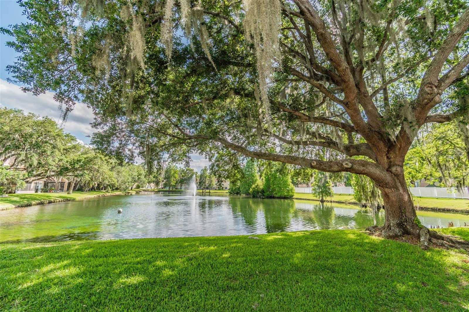 PINE GROVE CONDO AT BLOOMINGDALE - Residential