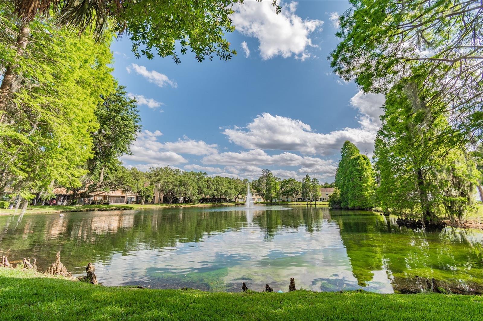 PINE GROVE CONDO AT BLOOMINGDALE - Residential