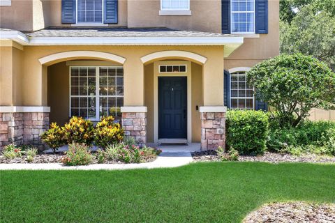 A home in MOUNT DORA