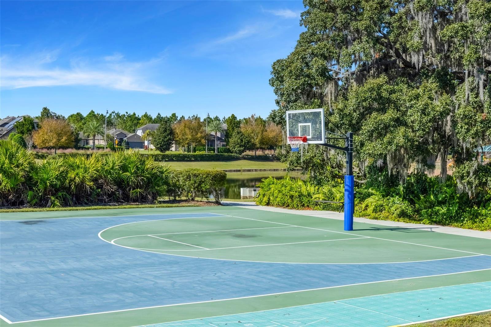 DEL WEBB ORLANDO PH 2A - Residential