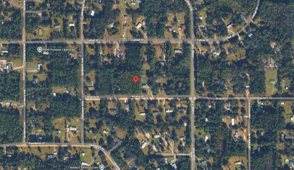 Photo of 4818 Acacia Street, Middleburg, FL 32068 (MLS # K4903339)