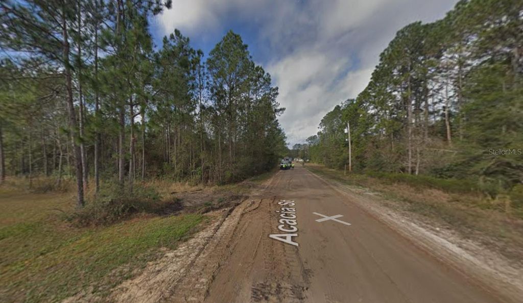 Photo of 4818 Acacia Street, Middleburg, FL 32068 (MLS # K4903339)