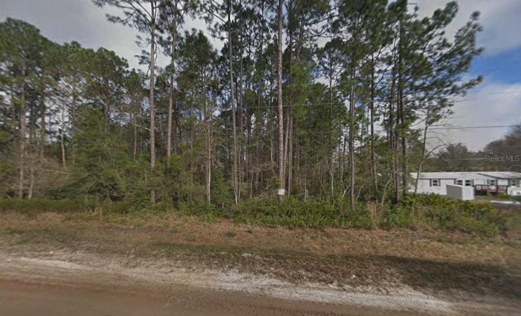 Photo of 4818 Acacia Street, Middleburg, FL 32068 (MLS # K4903339)