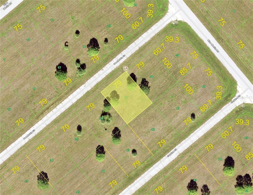 This area is set to explode as power is finally available in most areas of this subdivision! Be the first home on the block! Adjacent lot also available from the same seller- buy both to enhance your homesite!