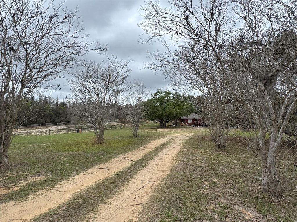 Photo of 18001 Phil C Peters Road, Winter Garden, FL 34787 (MLS # O6391296)